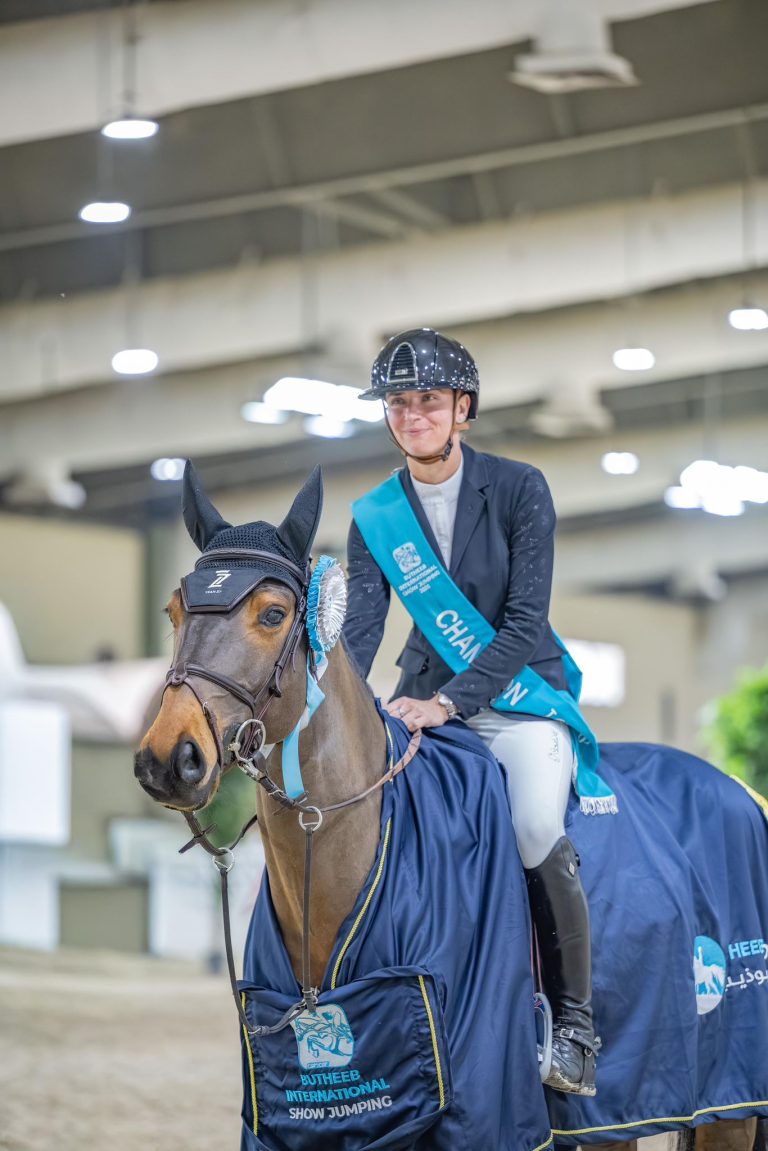 The Constants and the New: A November Round-Up